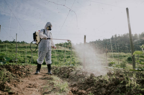 Best Mosquito Control Services  in Oberlin, OH