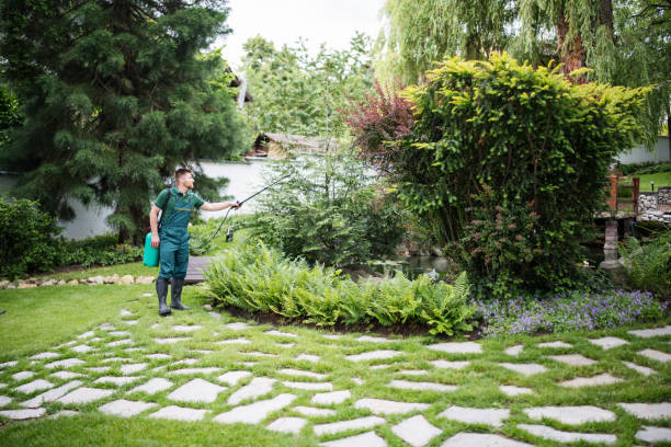 Best Local Pest Control Services  in Oberlin, OH