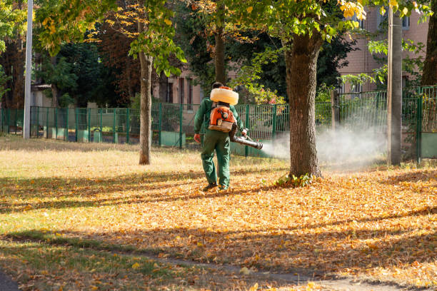 Best Cockroach Control Services  in Oberlin, OH