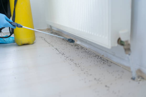 Best Affordable Exterminators  in Oberlin, OH