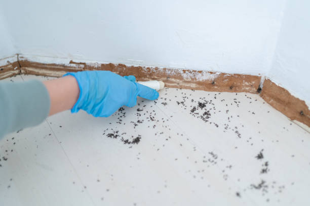 Best Pest Prevention Services  in Oberlin, OH