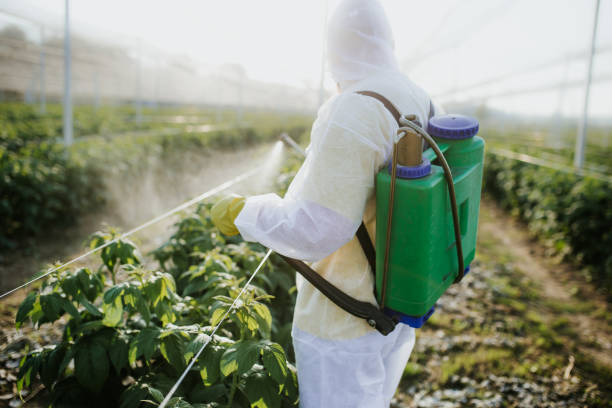 Best Flea Control Services  in Oberlin, OH